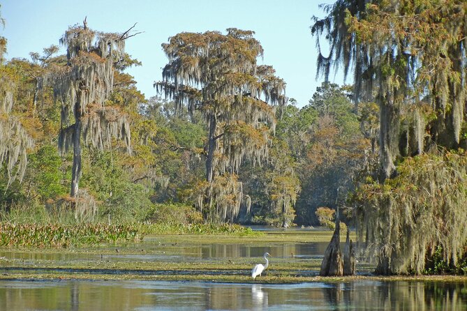 Everglades Airboat Tour With Roundtrip Transportation From Miami