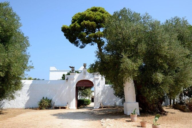 EVO Oil Tasting in Masseria in Ostuni - Exploring the Masseria Valente