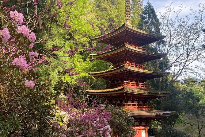 Exclusive Luxury Day Tours Serene Nara - Tour Overview and Pricing