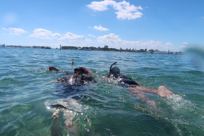 Exclusively Private Snorkel Adventures Training & Tours Ultimate