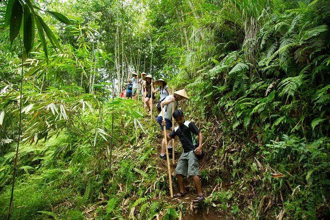 Experience Authentic Balinese Village Life on a Day Trip - Ubud - Tour Overview