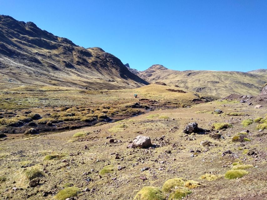Experiential Tourism at the House of the Lares