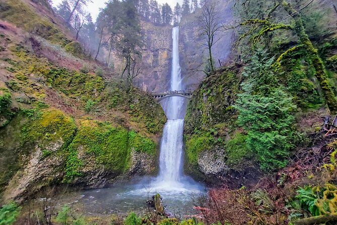 Explore Columbia River Gorge Half-Day Small-Group Hiking Tour - Tour Overview and Highlights