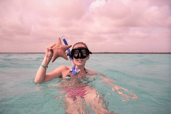 Explore El Cielo in Cozumel. Snorkel in 3 Different Reefs & Visit Cielito Beach.