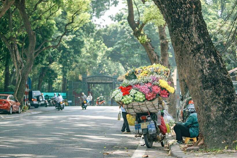 Explore Hanoi Half Day – Afternoon Tour