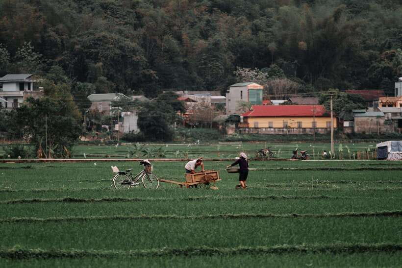 Explore Mai Chau 1 Day From Hanoi