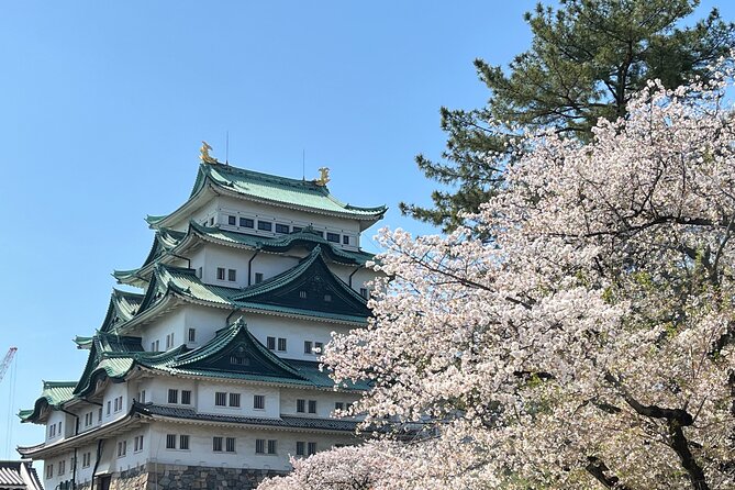Explore Nagoya : Private Customizable Tour - Tour Overview