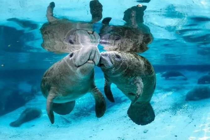 Explore Wildlife Sanctuaries on the WILD Palm Beaches Tour