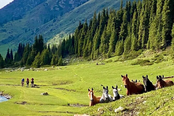 Exploring Kyrgyzstan in 9 Days From Bishkek - Tour Overview and Details