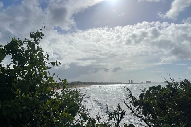 Fajardo Ceiba Ferry Marina Taxi to San Juan Taxi Transportation - Overview of Taxi Service