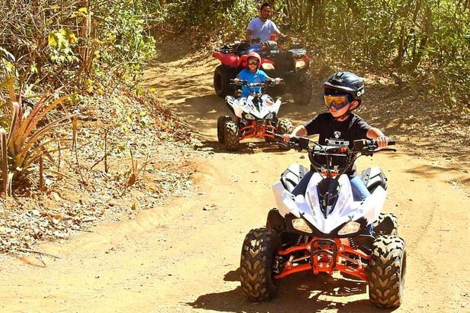 Family Fun Four Pack Combo