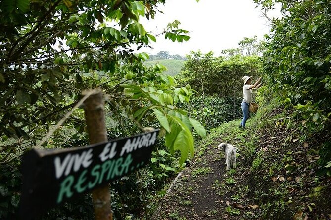 Farmers Experience in San Agustin - Explore the Local Farmland