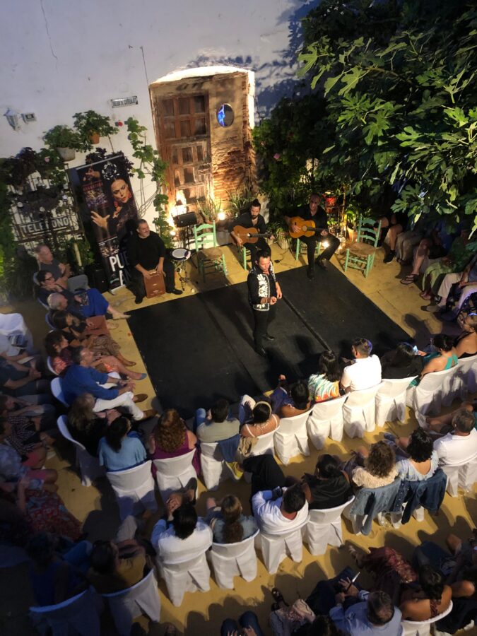 Flamenco Tablao La Puerta Ancha Entrance Ticket