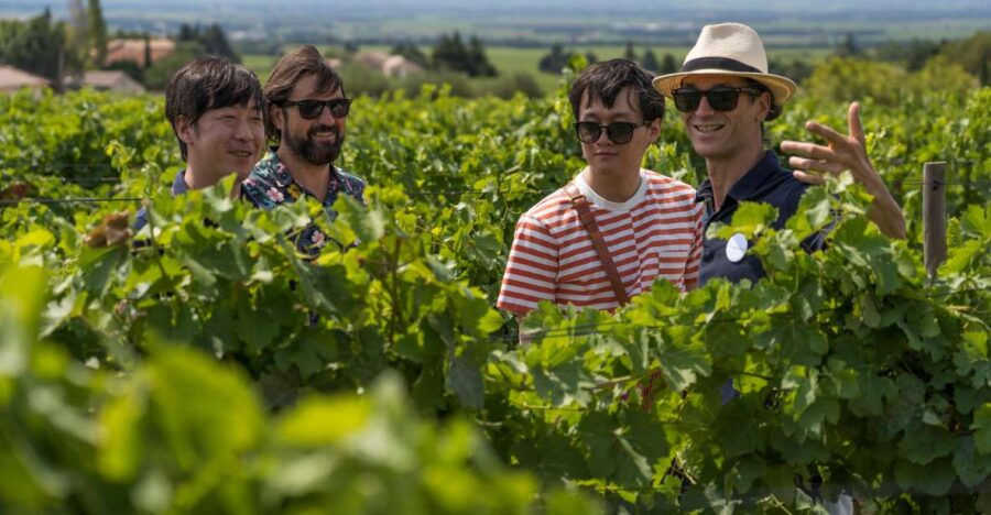 From Avignon: Luberon and Chateauneuf-du-Pape Full-Day Tour - Tour Overview and Details