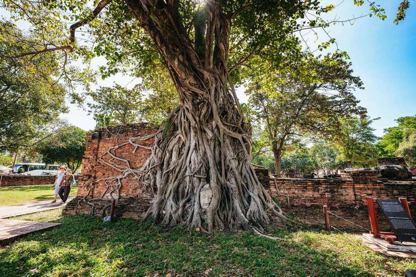 From Bangkok: Ayutthaya Temples Guided Tour With Lunch - Tour Overview