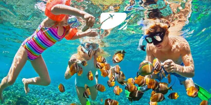 From Da Nang: Cham Island Sightseeing And Snorkeling Tour - Tour Overview