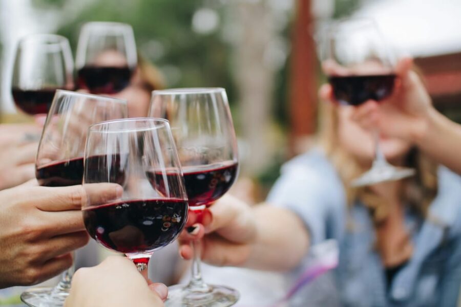 From Dijon: Burgundy Villages and Wine Tasting Tour