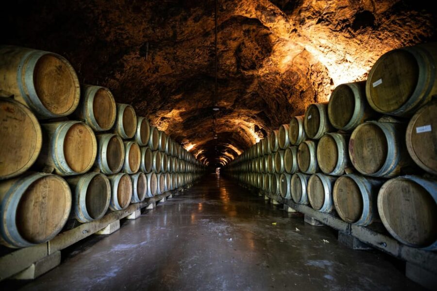 From Dijon: Côte De Nuits Wine-Tasting Tour
