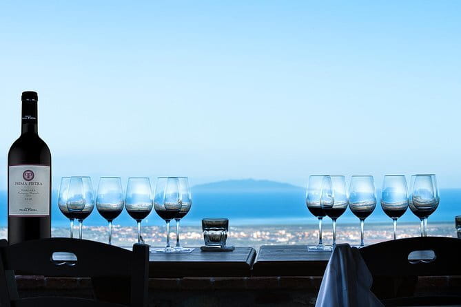 From Florence PRIVATE:Bolgheri Wine Tour,Tasting Among the Tuscany Coastal Hills - Exploring Bolgheris Winemaking Heritage