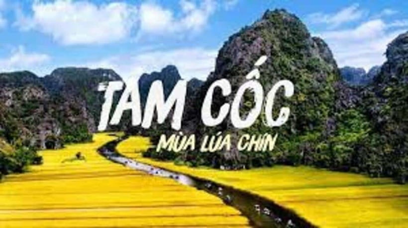 From Ha Noi: Ninh Binh Tour Bai Dinh Trang An-Mua Cave
