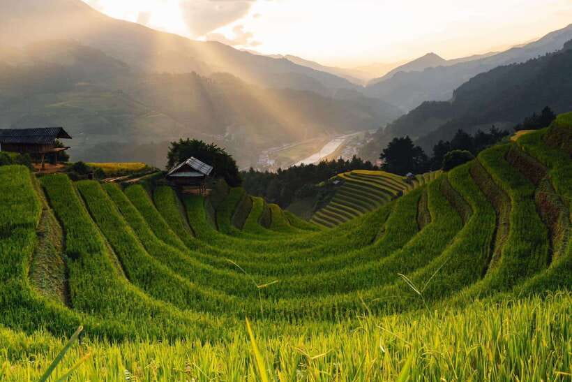 From Hanoi: 1-day Sapa Trekking Tour With Overnight Bus - Tour Overview and Pricing