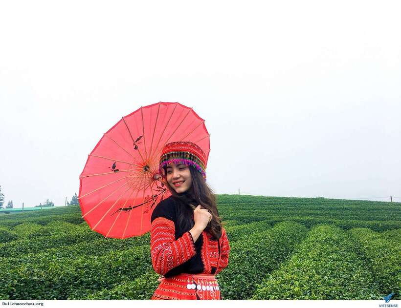 From Hanoi: Mai Chau Day Trip With Cycling and Lunch - Overview and Pricing
