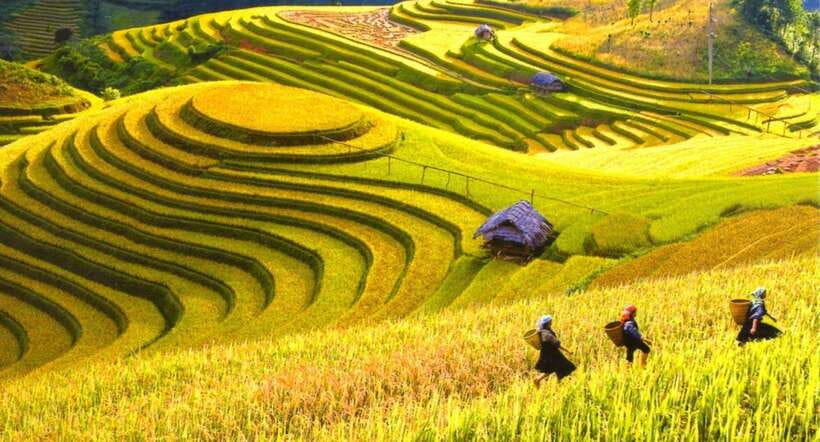 From Hanoi: Mai Chau Valley Day Tour With Lunch