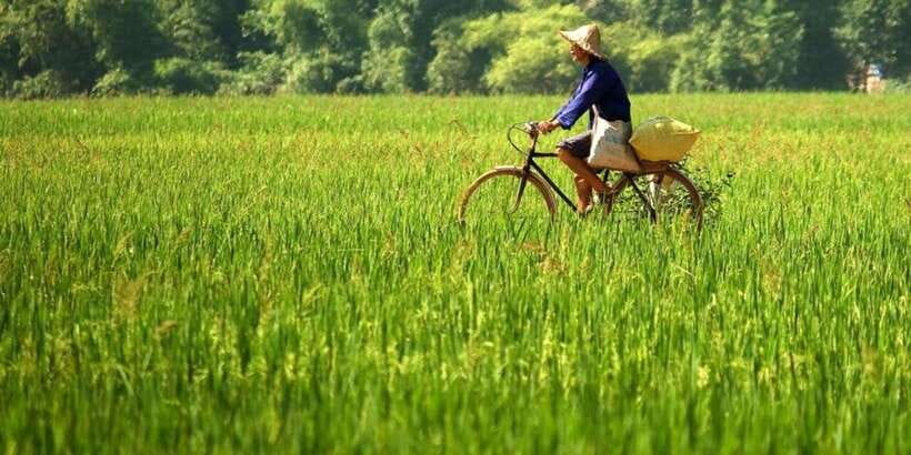 From Hanoi: Mai Chau Valley Day Trip With Lunch - Trip Overview