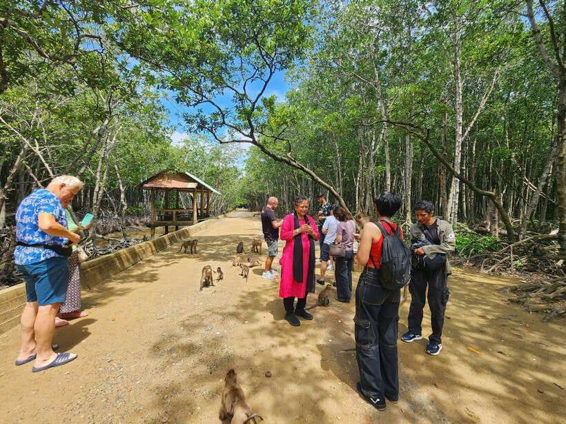 From Ho Chi Minh: Can Gio Mangrove & Monkey Island Day Trip