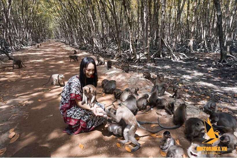From Ho Chi Minh City: Can Gio Mangrove & Monkey Island Day…