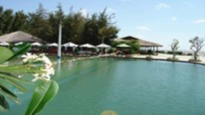 From Ho Chi Minh City: Can Gio Monkey Island Day Tour