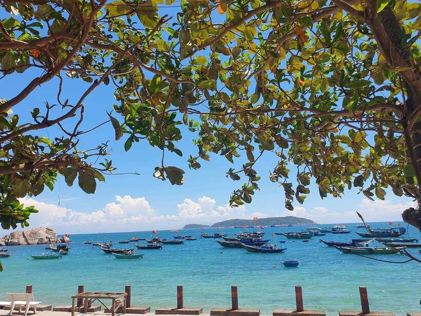 From Hoi An: Cu Lao Cham Day Trip With Seafood Lunch - Activity Overview