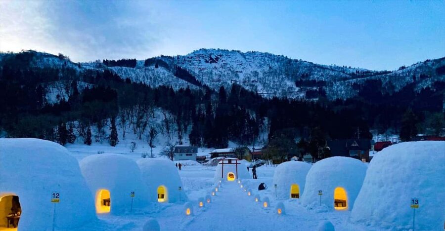 From Iiyama/Nagano: Kijimadaira Snow Park Tour With Lunch