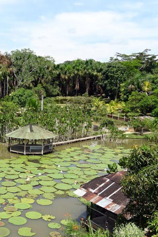 From Iquitos: Amazonas in 4 Days: | Nanay River + Monkeys |