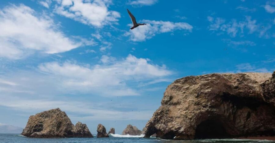 From Lima: Ballestas Islands, Tacama Vineyard and Huacachina