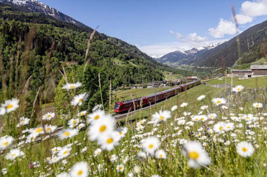 From Milan: Bernina Red Train to St Moritz Guided Tour - Tour Overview and Pricing