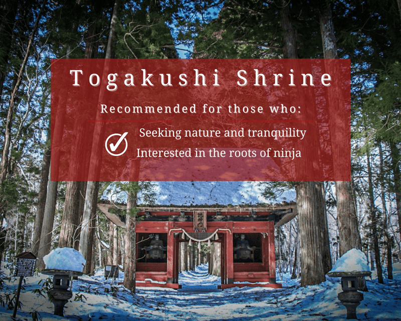 From Nagano/Myoko: Private Tour of Togakushi Shrine - Tour Overview and Pricing