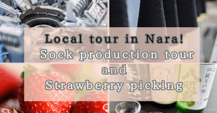 From Nara: Sock Factory Tour, Strawberry Picking, and Lunch