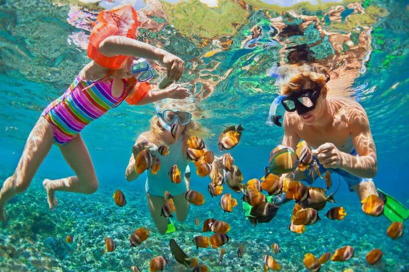 From Nha Trang: Snorkeling, BBQ and Mud Bath Day Trip