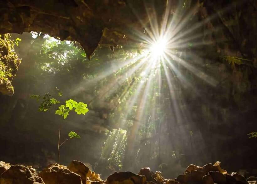 From Ninh Binh: Cuc Phuong National Park Day Trip