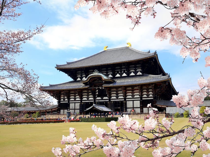 From Osaka/Kyoto: Guided Day Tour to Kyoto and Nara
