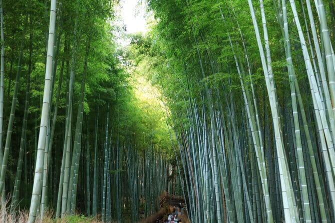 From Osaka: Kyoto Must-see Spots & Nara Park Sightseeing Day Tour