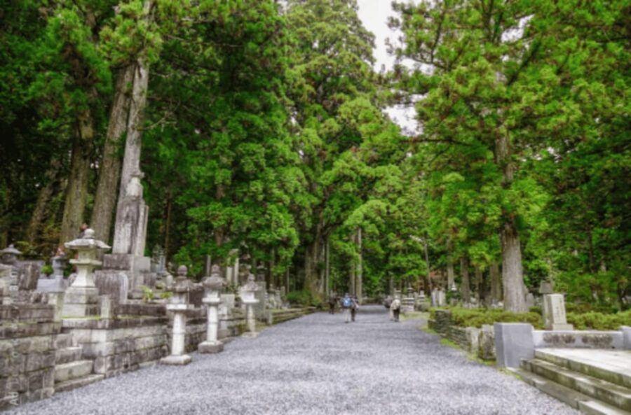 From Osaka/Kyoto:Mount Koya, Wakayama & Nachi Waterfall Trip