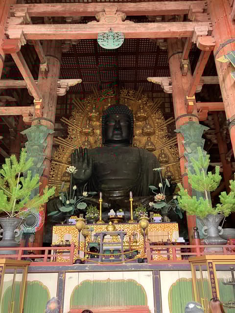 From Osaka: Nara Private Car Tour With Hotel Pickup