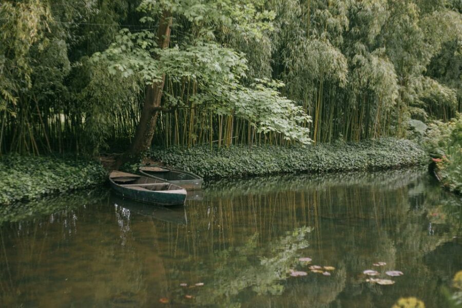 From Paris: Half Day Giverny Monets Gardens Tour