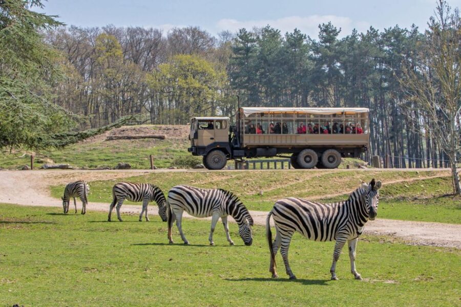 From Paris: Thoiry Park Safari and Castle Tour - Booking Information
