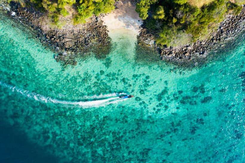From Phi Phi: Half-Day Snorkeling Trip by Long Tail Boat