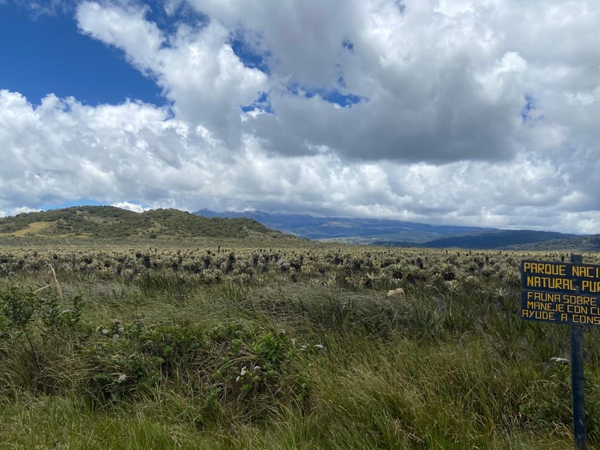 From Popayán: Waterfalls of Puracé National Park
