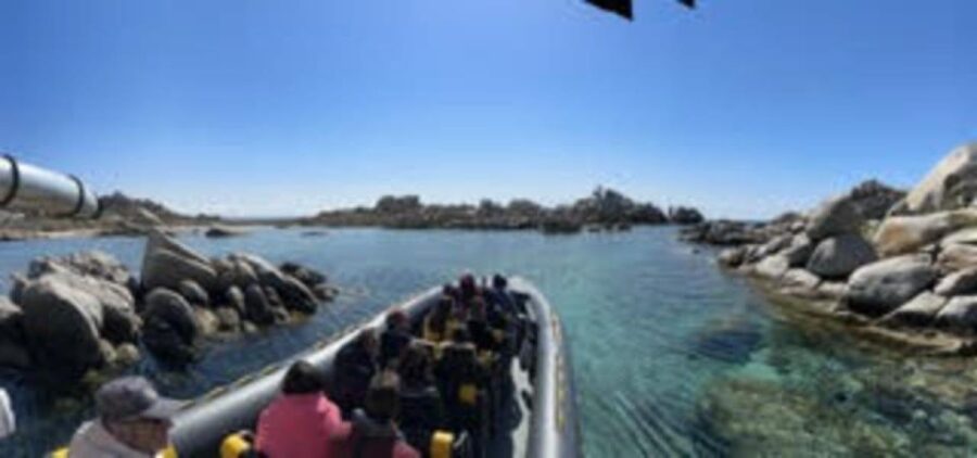 From Porto-Vecchio: Lavezzi Archipelago Sightseeing Cruise - Overview of the Lavezzi Archipelago Sightseeing Cruise