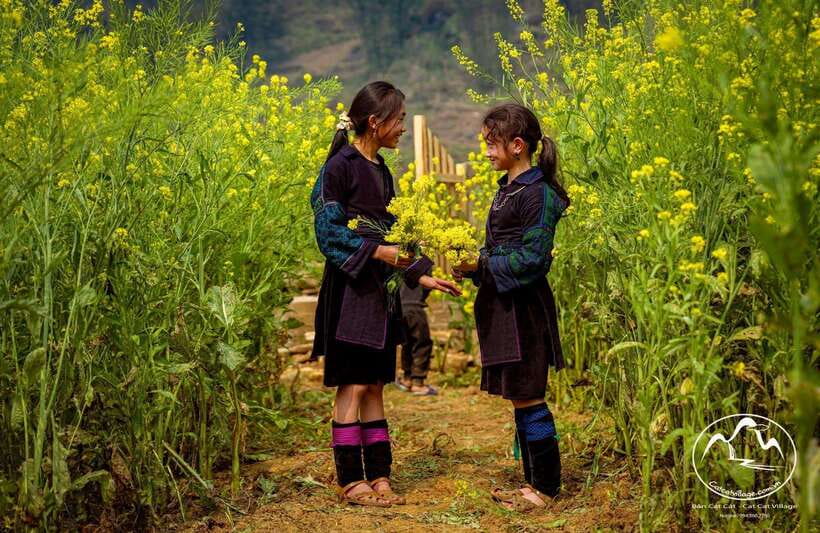 From Sapa: Cat Cat & Sin Chai Villages Private Trekking Tour - Tour Overview and Pricing